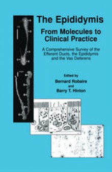 The Epididymis: From Molecules to Clinical Practice: A Comprehensive Survey of the Efferent Ducts, the Epididymis and the Vas Deferens