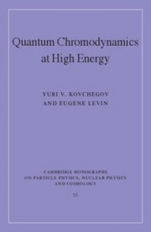 Quantum Chromodynamics at High Energy