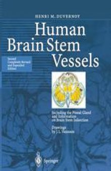 Human Brain Stem Vessels: Including the Pineal Gland and Information on Brain Stem Infarction