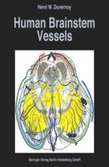 Human Brainstem Vessels