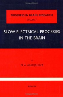 Slow Electrical Processes in The Brain