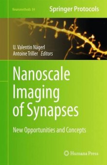 Nanoscale Imaging of Synapses: New Concepts and Opportunities