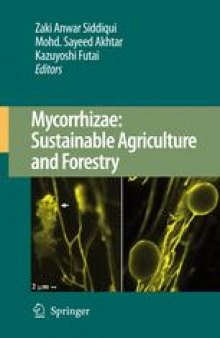 Mycorrhizae: Sustainable Agriculture and Forestry