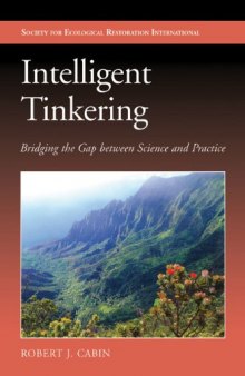 Intelligent Tinkering: Bridging the Gap between Science and Practice  