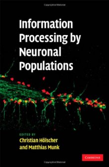 Information Processing by Neuronal Populations