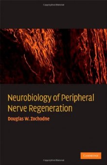 Neurobiology of Peripheral Nerve Regeneration