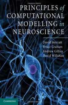 Principles of Computational Modelling in Neuroscience  