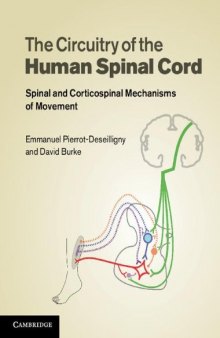 The circuitry of the human spinal cord : neuroplasticity and corticospinal mechanisms