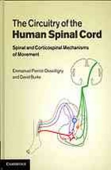 The circuitry of the human spinal cord : neuroplasticity and corticospinal mechanisms