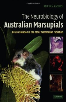 The Neurobiology of Australian Marsupials: Brain Evolution in the Other Mammalian Radiation