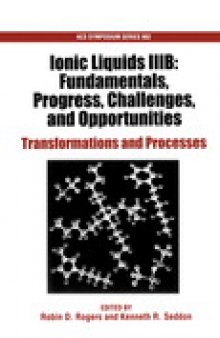 Ionic Liquids IIIB: Fundamentals, Progress, Challenges, and Opportunities. Transformations and Processes