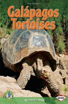 Galapagos Tortoises 