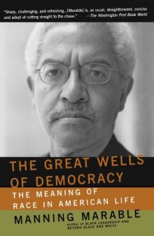 The Great Wells Of Democracy: The Meaning Of Race In American Life