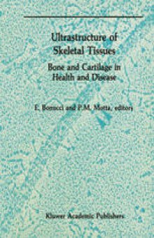 Ultrastructure of Skeletal Tissues: Bone and Cartilage in Health and Disease