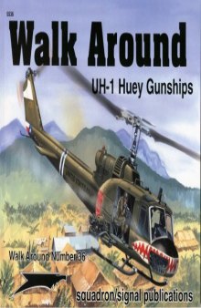 UH-1 Huey Gunships