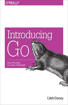 Introducing Go: Build Reliable, Scalable Programs