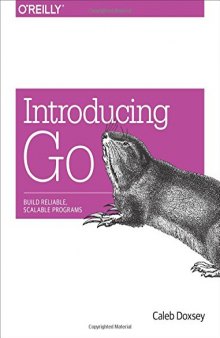 Introducing Go: Build Reliable, Scalable Programs