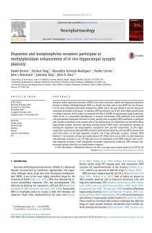 Dopamine and norepinephrine receptors participate in methylphenidate enhancement of in&nbsp;vivo hippocampal synaptic plasticity