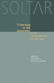 E-Learning in the University: Some Constructionist Perspectives