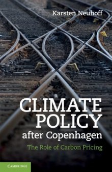 Climate Policy after Copenhagen: The Role of Carbon Pricing  