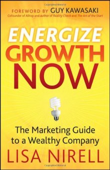 Energize Growth NOW: The Marketing Guide to a Wealthy Company