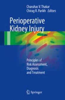 Perioperative Kidney Injury: Principles of Risk Assessment, Diagnosis and Treatment