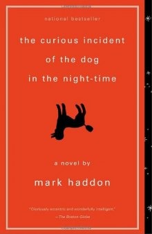 The Curious Incident of the Dog in the Night Time