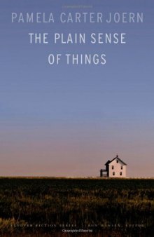 The Plain Sense of Things (Flyover Fiction)