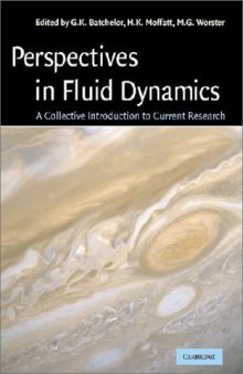 Perspectives in fluid dynamics