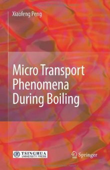 Micro Transport Phenomena During Boiling  