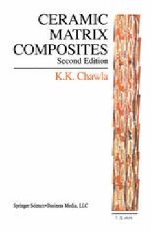 Ceramic Matrix Composites: Second Edition