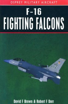 F-16 Fighting Falcons  