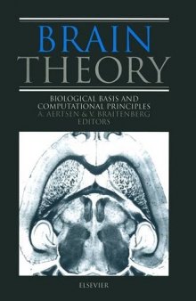 Brain theory