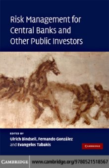 Risk management for central banks and other public investors