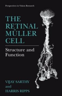 The Retinal Muller Cell: Structure & Function (Perspectives in Vision Research)