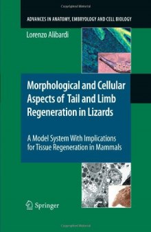 Morphological and Cellular Aspects of Tail and Limb Regeneration in Lizards: A Model System With Implications for Tissue Regeneration in Mammals