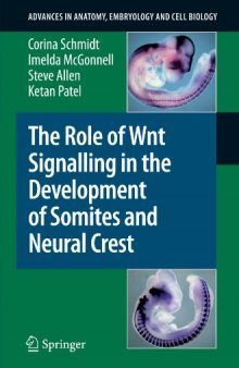 The role of Wnt signalling in the development of somites and neural crest