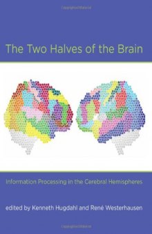 The Two Halves of the Brain: Information Processing in the Cerebral Hemispheres