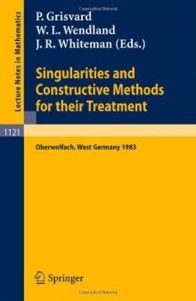 Singularities and Constructive Methods for Their Treatment