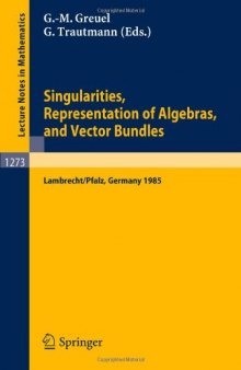 Singularities, Representation of Algebras and Vector Bundles