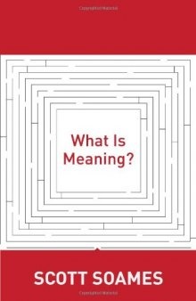 What Is Meaning?