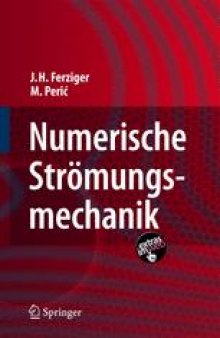 Numerische Stromungsmechanik