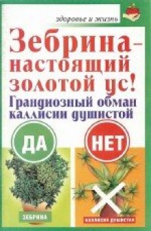 Зебрина — настоящий золотой ус!