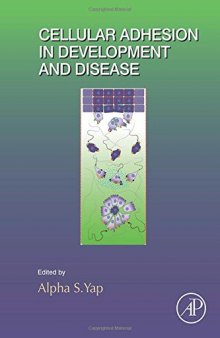 Cellular adhesion in development and disease