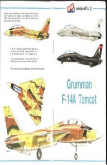 Grumman F-14A Tomcat