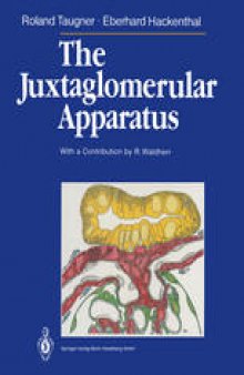 The Juxtaglomerular Apparatus: Structure and Function