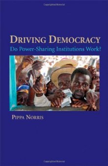 Driving Democracy: Do Power-Sharing Institutions Work?
