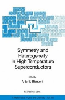 Symmetry and Heterogeneity in High Temperature Superconductors (NATO Science Series II: Mathematics, Physics and Chemistry)