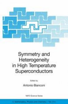 Symmetry and Heterogeneity in High Temperature Superconductors: Proceedings of the NATO Advanced Study Research. Workshop on Symmetry and Heterogeneity in High Temperature Superconductors Erice, Sicily, Italy October 4–10, 2003
