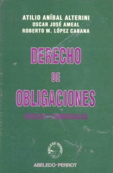 Derecho de Obligaciones (Spanish Edition)